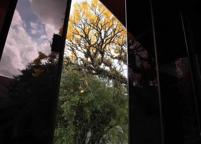 Aardvark Inn Pousada